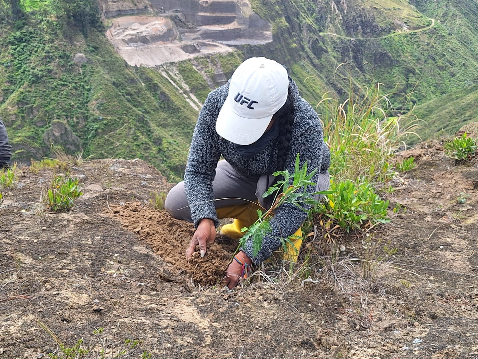 FORESTACIÓN DE LA QUEBRADA PACHANLICA: 2400 NUEVAS PLANTAS PARA COMBATIR EL VIENTO